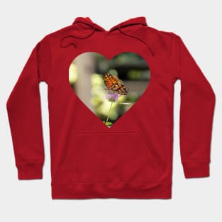 Butterfly love Hoodie